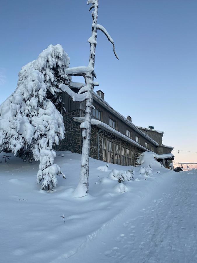 Holysuites 2 - Ski-In And Out Apartment In The Middle Of Ski Slopes In Pyhae Pyhätunturi Exteriör bild